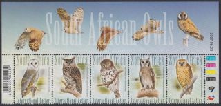 South Africa - 2007 South African Owls Control Strip Of 5 (mnh)