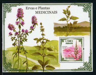 St.  Thomas & Prince Scott 2191 Mnh S/s Herbs Medicinal Plants Flora $$ Th - 1