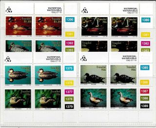 Transkei (south Africa) Water Fowl 1992 Control Blocks Of 4
