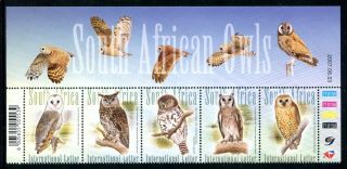 South Africa 1368,  Mnh,  South African Birds - Owls Strip Of 5,  2007 X39586