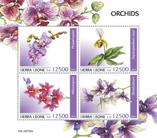 Sierra Leone 2019 Orchids S201908