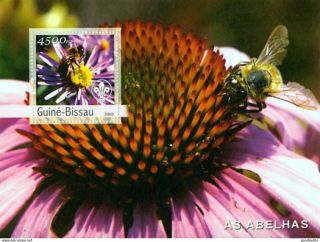 Mini Block Guinee Bissau 2003 Mnh,  As Abelhas Honey Bee On Flower