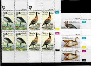 Venda (south Africa) Water Fowl 1987 4 Values In Control Blocks Of 4