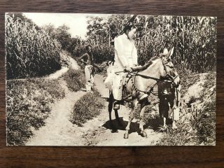 China Old Postcard Chinese Woman On The Horse To Belgium