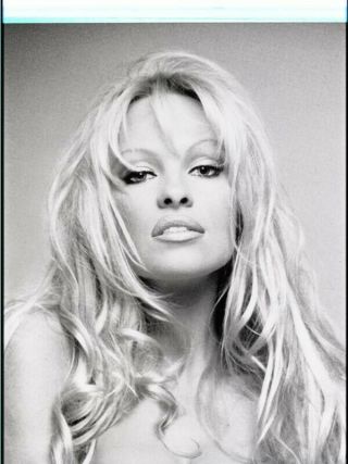Pamela Anderson Sultry Glamour Portrait Vintage 8x10 Duplicate Negative & Photo