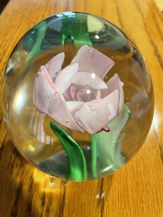 Dynasty Gallery Heirloom Collectibles Tulip Pink Beauty Flower Glass Paperweight 2
