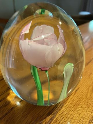 Dynasty Gallery Heirloom Collectibles Tulip Pink Beauty Flower Glass Paperweight 3