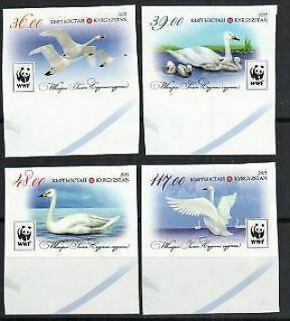 Kyrgyzstan Stamp - Whooper Swans - - Wwf Stamp - Nh