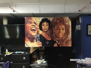 Big 44x30 Whitney Houston Vinyl Banner Poster Beyoncé Art Lp Music Bodyguard