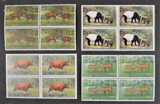 Thailand Stamps 1976 Of 4 Protected Wild Animals In Blocks Of 4 U/m (m61)
