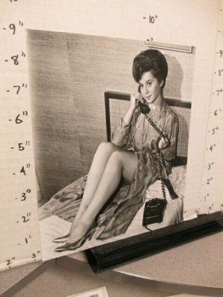 Abc Tv Show Photo 1960s Hawaiian Eye Sherry Jackson Leggy Telephone Bed Robe