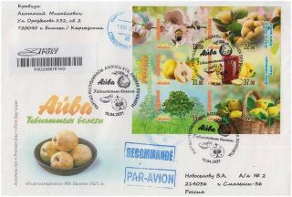 2021 Kyrgyzstan Quince Fruit Not Perforated Flora Fdc Int.  Registered Mail