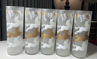 5 Vintage Mcm Libbey 7 " Tall Frosted Tumbler Glasses Gold White Horses Exc Cond