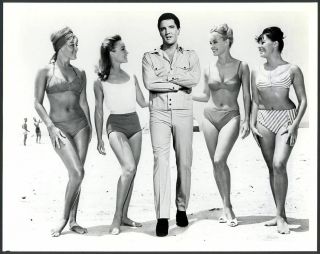 (5) Rare Elvis Presley 1965 Girl Happy 8x10 Vintage Promo Photo Mgm