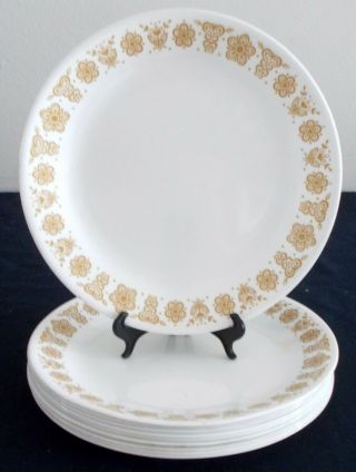 Set Of 10 Corelle Butterfly Gold Dinner Plates 10 1/4”