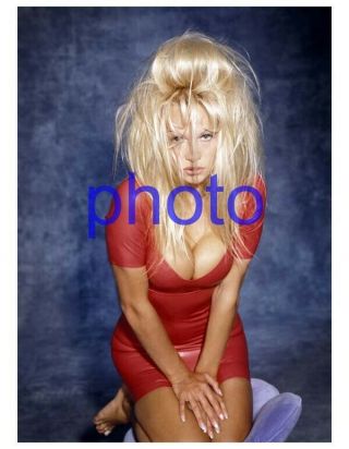 Pamela Pam Anderson 6,  Baywatch,  Home Improvement,  Barb Wire,  Stacked,  8x10 Photo