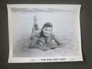 Sophia Loren - 1955 Photo - Too Bad She`s Bad
