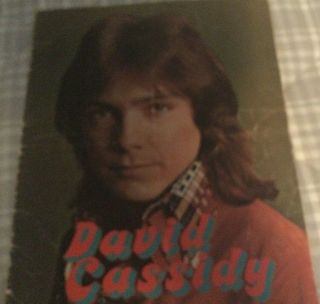 Vintage David Cassidy/ The Partridge Family 1972 Tour Program,  Photos