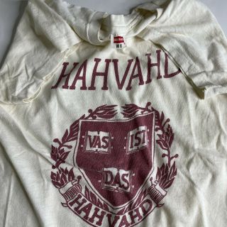 VINTAGE 50s/60s Harvard hanes COTTON POLYESTER BLEND MADE IN USA T SHIRT 3