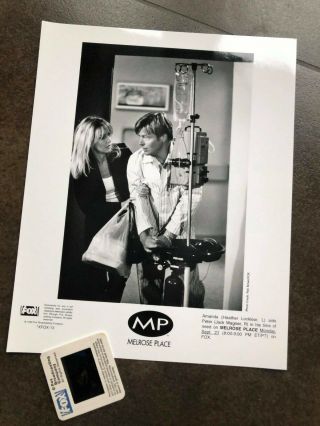 Melrose Place Jack Wagner Heather Locklear 8 " X10 " Press Picture And Color Slide