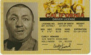 Curly Howard The Three Stooges Novelty Drivers License Id Collectors Card Moe