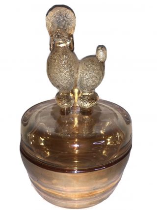 Vintage Jeannette Marigold Carnival Glass Poodle Powder Jar Trinket Box 4 " D 6 " H