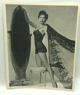 Vintage 8 X10 Glossy Photo Photograph Hollywood Ava Gardner Black Lingerie