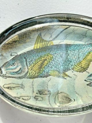 Signed John Derian Decoupage Oval Glass Paperweight (fish) - Retired Fishing