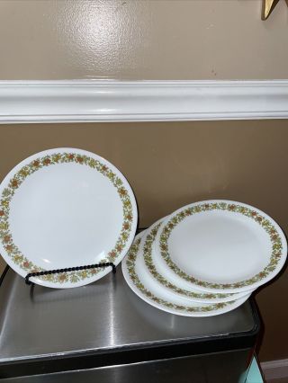 Corelle By Corning Spice Of Life Salad Lunch Plate 8.  5 " Vintage - Set Of 4