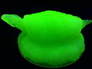 Jadeite Green Milk Vaseline Uranium Glass Snapping Turtle Tortoise / Paperweight