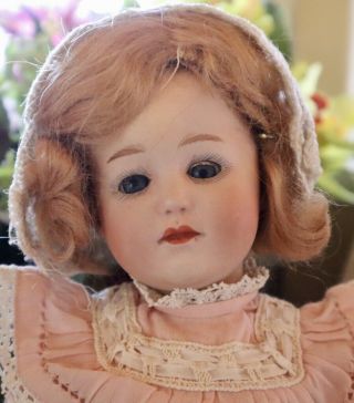 Antique 13 " German Bisque Gebruder Heubach 8420 Doll W/fully Jointed Orig Body