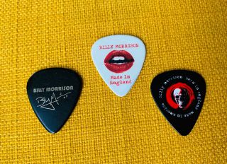 Billy Idol Billy Morrison Signature Black Guitar Picks Set