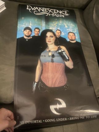 Evanescence Amy Lee Fallen Promo Poster