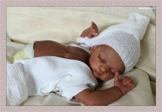 Ethnic Aa Biracial Reborn Newborn Baby Girl Doll Lilian - Ltd Edition Now Soldout