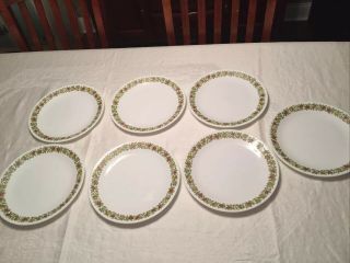 7 Corelle Spice Of Life 10 1/4 " Dinner Plates