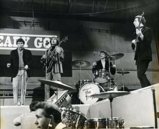 The Troggs Wild Thing British Rock Group 1960 