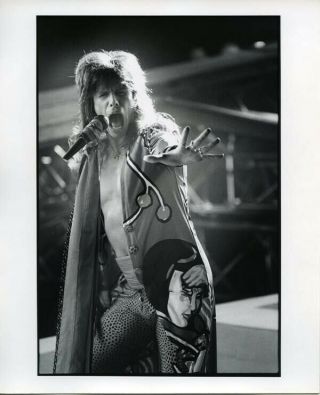 Aerosmith Steven Tyler Iconic Vintage Concert Double Weight 8x10 Photo