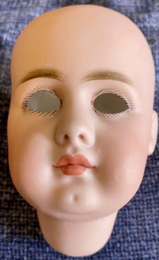 Antique German Simon Halbig Closed Mouth 949 Doll Head 9 1/2” Circumference