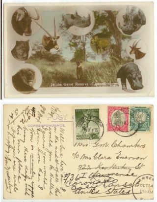 1939 South Africa Game Reserve Multiview Real Photo - Kruger Park Poster Stamp