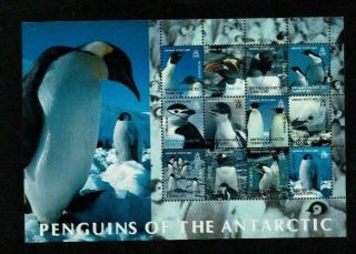 British Antarctic Territory: 2003 Penguins Of The Antarctic,  (1st Series),  Mnh