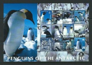 Bat 2003,  Penguins Of The Antarctic (1st Series) Sg365a Mnh