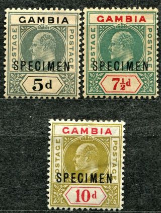Gambia 1904 Issue Specimen Set Of 3,  Sg 63s,  65s & 66s,  Hinged,  Cv £75