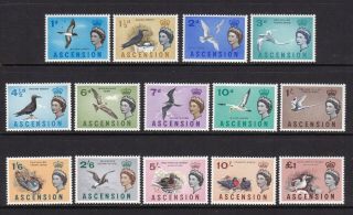 Ascension - Sg 70/83 - U/m - 1963 - 1d - £1 - Birds