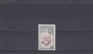 A102 - British Honduras - Sg190 Mnh 1953 $5 Purple & Slate