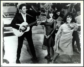 (27) Rare Elvis Presley 1966 Spinout 8x10 Vintage Still Promo Photo