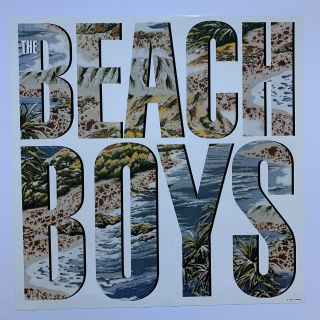 1985 Beach Boys Self Titled Promotional Poster 23” X 23” Brian Wilson