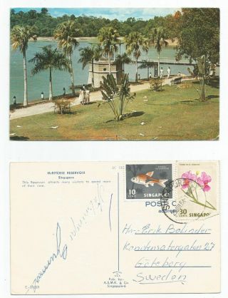 Singapore 1964 Rppc Mcritchie Reservoir Singapore,  Sent To Sweden @ 40c Rate