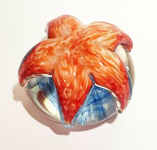 Dynasty Gallery Heirloom Collectibles - Starfish Paperweight - 3 " W