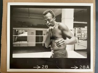 Miles Davis As A Boxer By Jim Marshall Photograph.  Unsigned