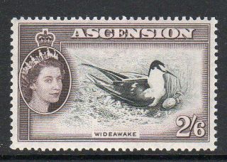 Ascension 1956 2/6d Sooty Tern Fine Fresh Mnh